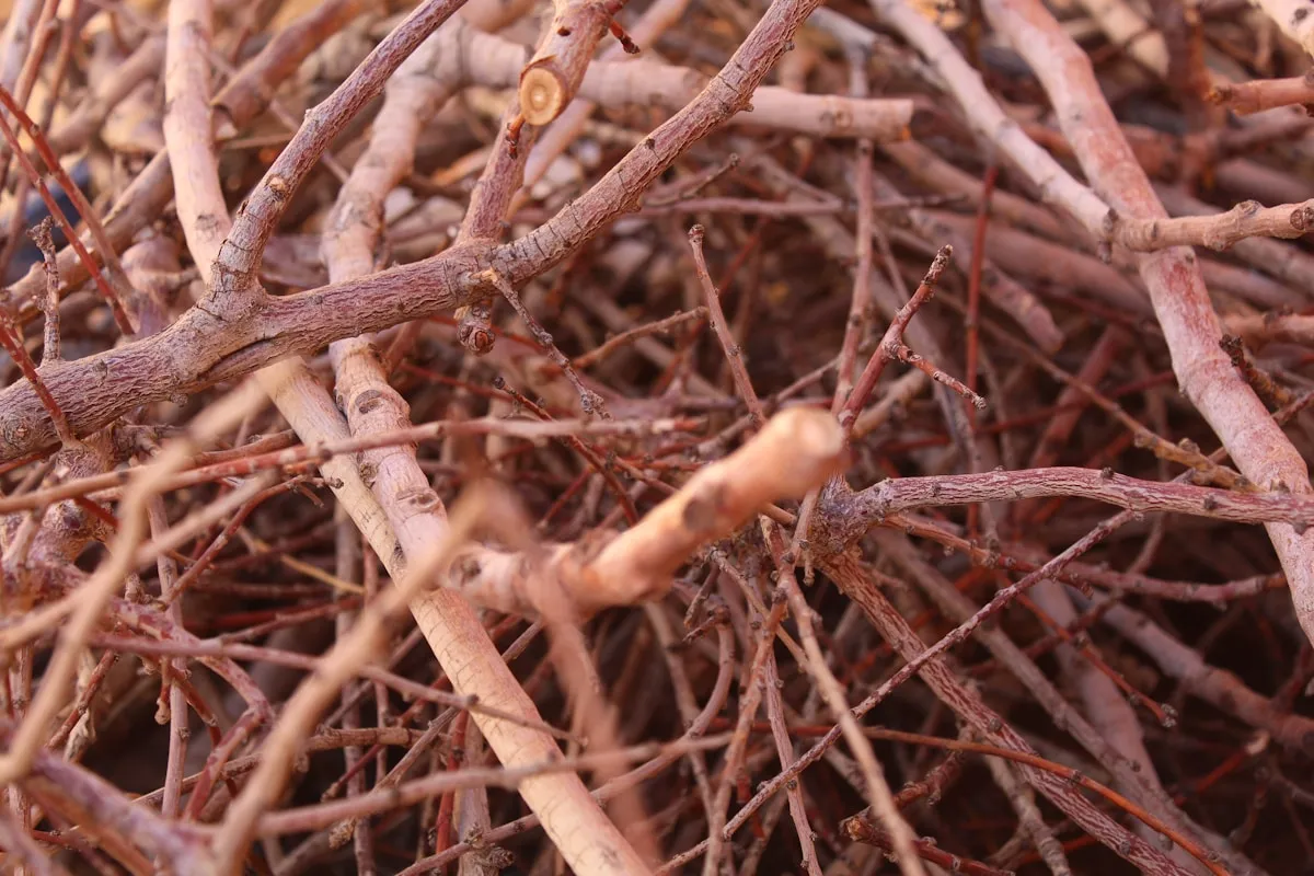 Yard Waste